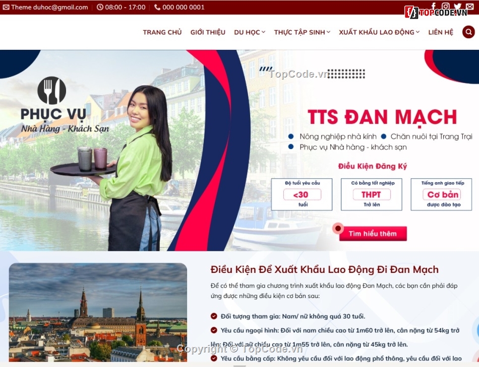 share code wp,code du học,theme wordpress,share code,source code